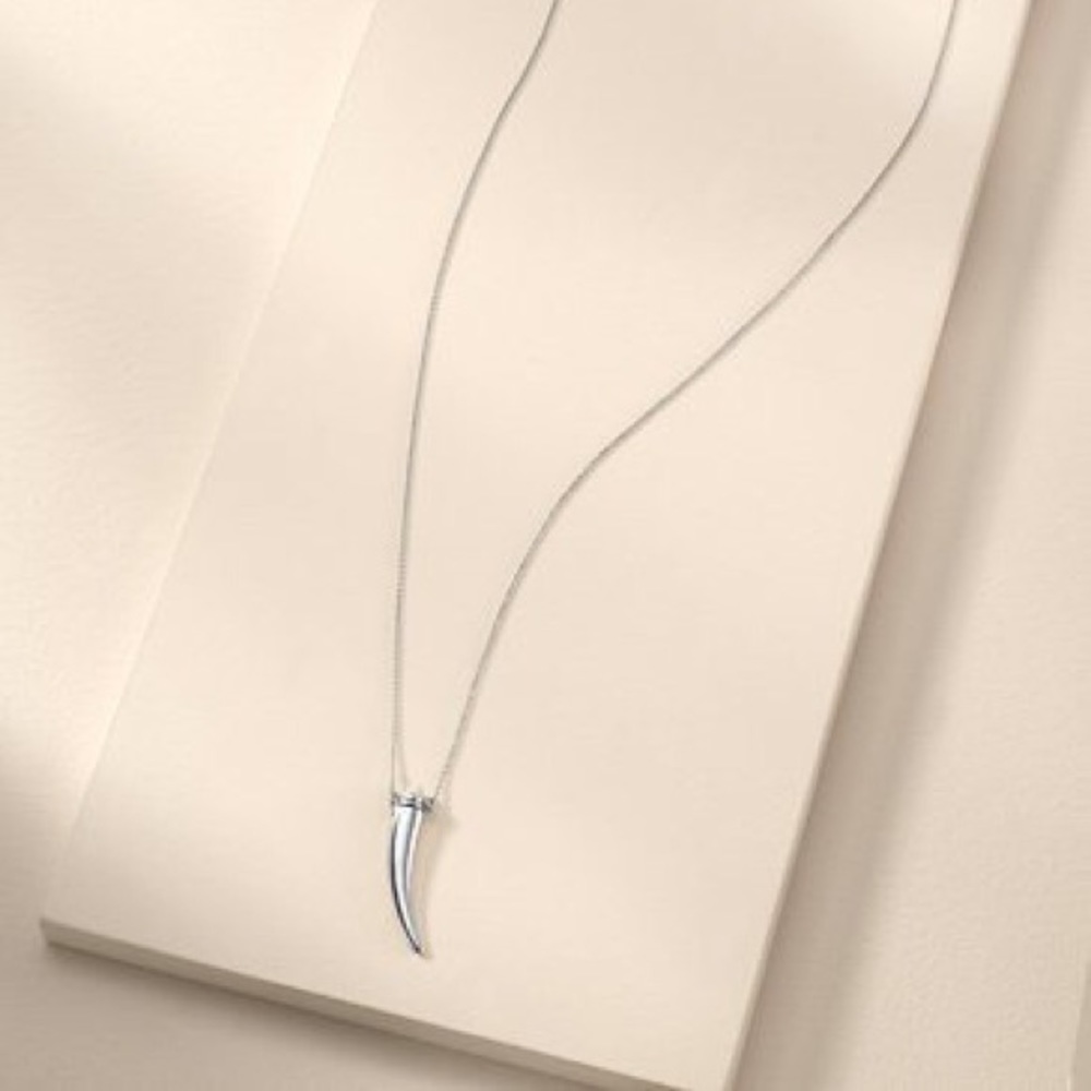 Stella & Dot Delicate Horn Pendant